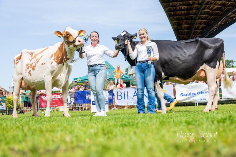 De Wijde Blik Mariegold 6a (links) en De Wijde Blik Marix bezetten het podium in Ommen (foto: Floor Schut)