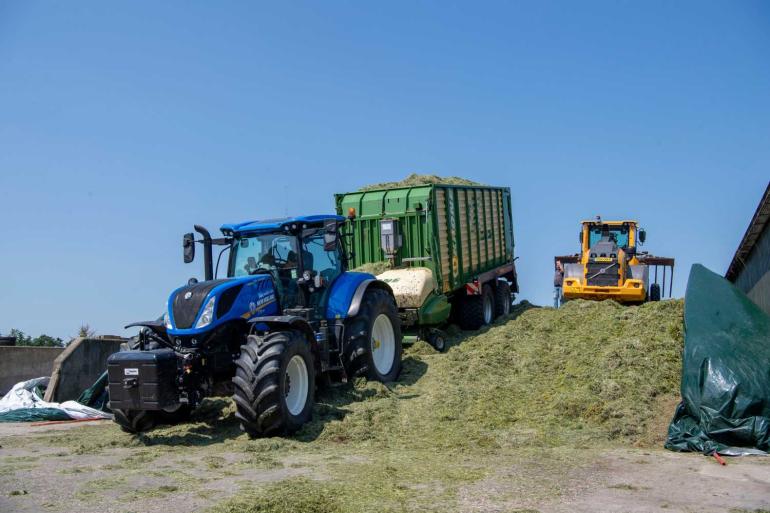 Het ruweiwitgehalte in het melkveerantsoen lijkt dit jaar uit te komen op 164 gram per kilo droge stof