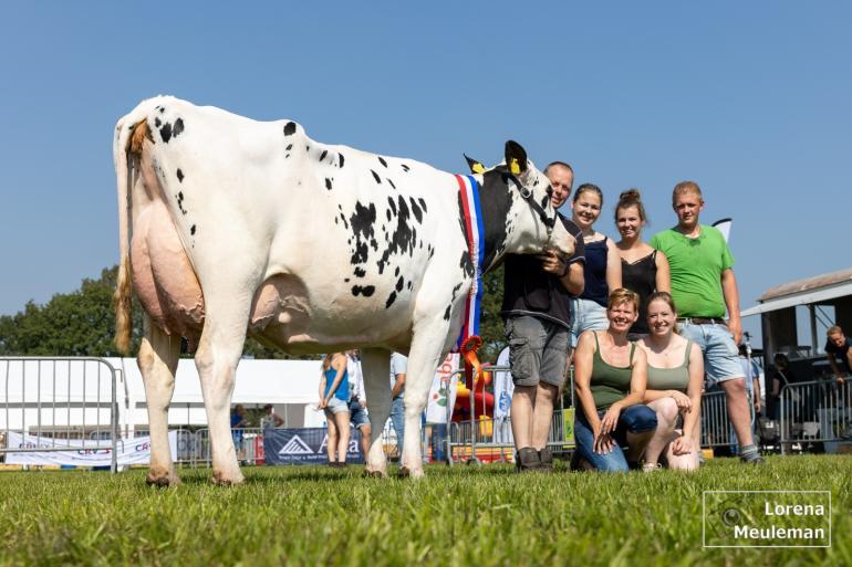 Vorig jaar won Bruninkweerd Glendale 34 (v. Dateline) het algemeen kampioenschap zwartbont op de fokveedag Bathmen-Laren