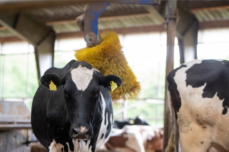 Om melk aan de nieuwe melkstroom te kunnen leveren moeten veehouders onder andere voldoen aan eisen op het gebied van dierwelzijn en diergezondheid. Daarnaast moeten de bedrijven VLOG-gecertificeerd zijn