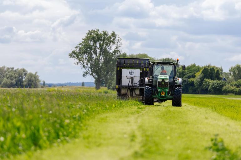 Ruim 10 procent van de Nederlandse melkveehouders heeft kruidenrijk grasland ingezaaid met financiële steun van het project ‘1001 hectare kruidenrijk grasland’