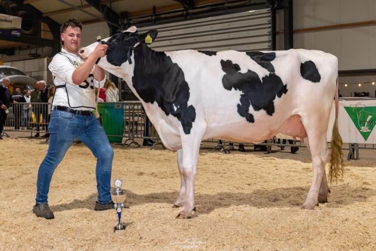King Docdochter Jolenbroek Gerda 442 eiste de vaarzentitel op (foto: Cilia Hoekman)