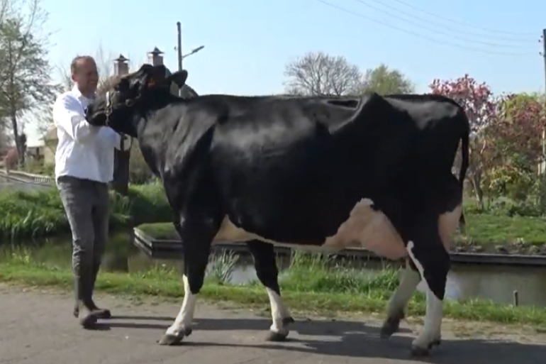 Berendje 339 (v. Big Malki) wint de seniorentitel 