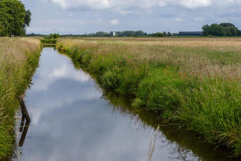 Zo’n 20 procent van het Nederlandse graslandareaal ligt in veenweidegebieden