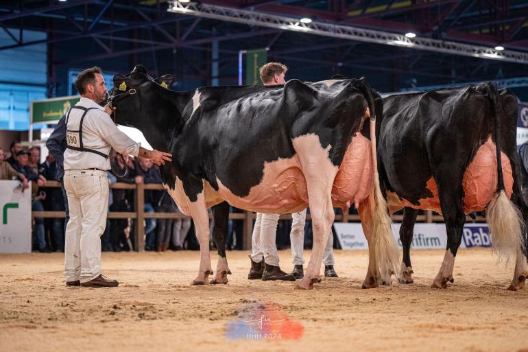 Het algemeen kampioenschap zwartbont kwam vorig jaar op naam van Bons-Holsteins Koba 245 (v. Doorman)