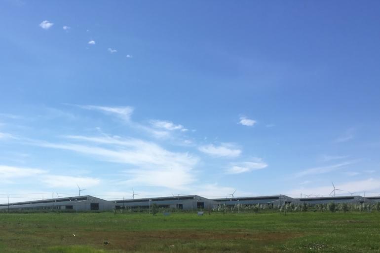 De Dairy Association of China wil dat in 2030 85 procent van de melkkoeien op melkveebedrijven met meer dan 100 stuks melkkoeien wordt gehouden