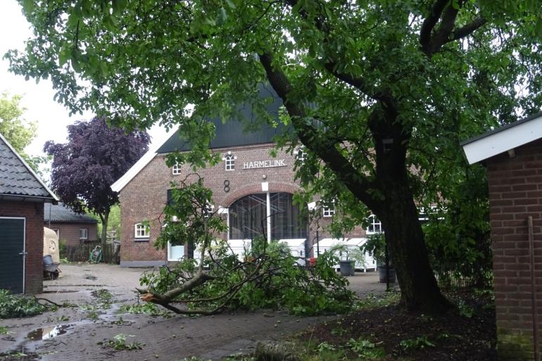 Het hele erf van de familie Prinsen ligt bezaaid met takken (foto Ans Prinsen)