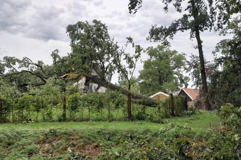Op een huis in de buurt van Winterswijk-Meddo is een grote boom gevallen (foto Ans Prinsen)