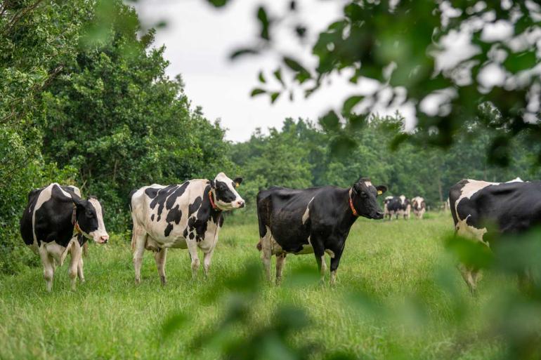 Rond kwetsbare Natura 2000-gebieden komen aanvullende maatregelen