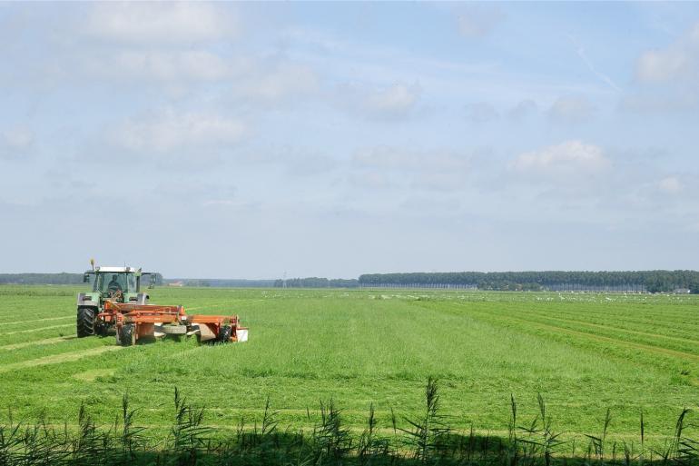 Om het gras smakelijk te houden, is een mooie wei met etgroen nodig