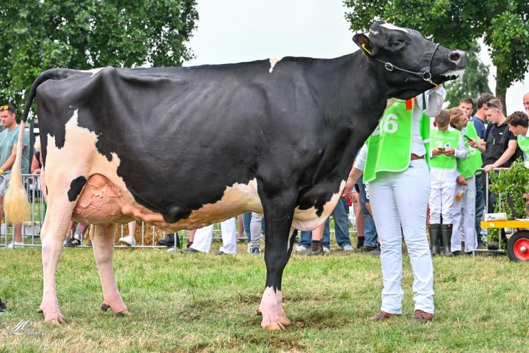 Topcross Anna 267 prolongeerde in Wouterswoude haar seniortitel (foto: Henk Lomulder)