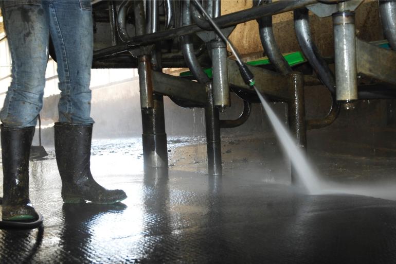 De onderzoekers vonden virusdeeltjes in het water van het schoonmaken van melkapparatuur, vloeren of de opvang van melk van zieke koeien