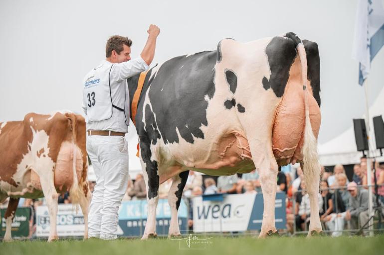 Carmen 5 won in Opmeer ook de titel bij de oudere koeien (foto: Fleur Maartje Bakker)