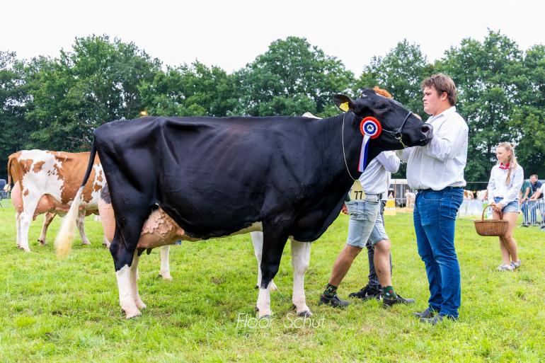 De seniortitel bij zwartbont ging naar Malkidochter Mientje 149 (foto: Floor Schut)