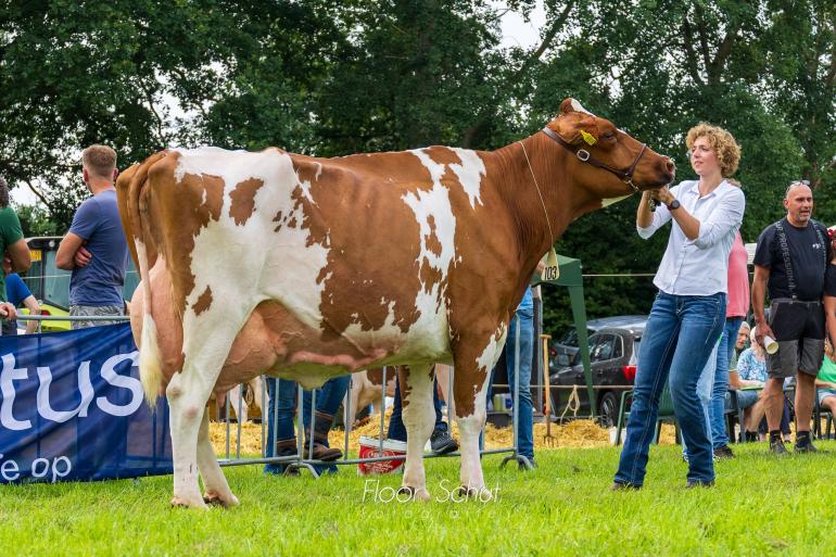 Stoolos Anette 108 pakte de seniortitel bij roodbont (foto: Floor Schut)