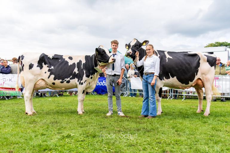 De Pettershoeve Danielle 38 (links) en De Wijde Blik Marilino 3 (rechts) zegevierden in Ommen (foto: Floor Schut)
