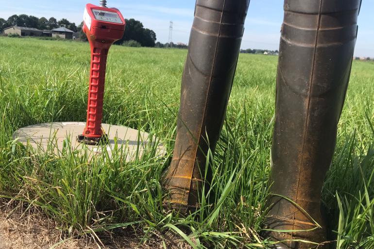 Op veel plekken zit er al roest op het gras