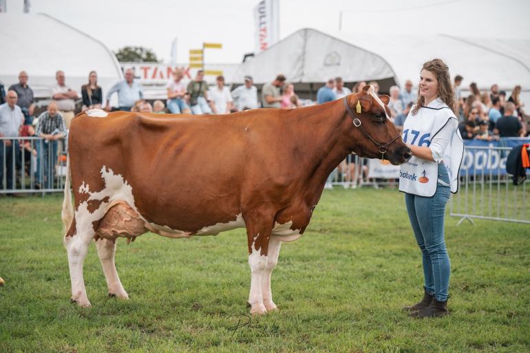 Pien (v. Fageno) won de reservetitel bij de oudere koeien op de keuring divers en schreef de WEA Economische Boerenkoeverkiezing op haar naam (foto: Fleur Maartje Bakker)
