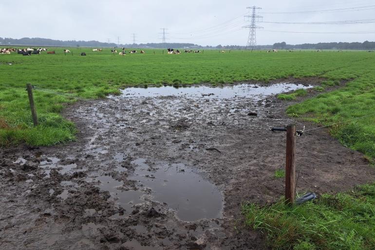 In sommiger regio's is het al zo nat geworden dat weidegang een uitdaging is