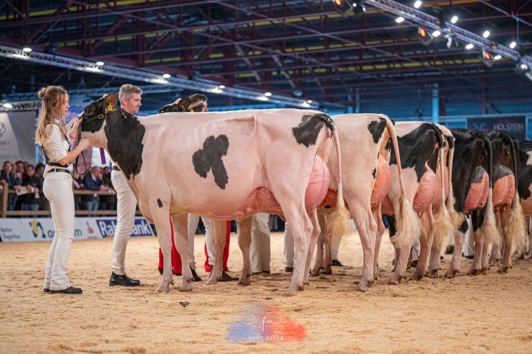 Vorig jaar meldden veehouders bijna 350 koeien aan voor de individuele keuring 