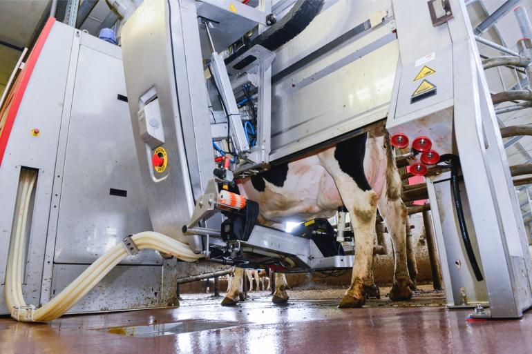 Nederland is na Zweden het land dat de meeste octrooien heeft aangevraagd voor de toepassing van nieuwe digitale melktechnologie