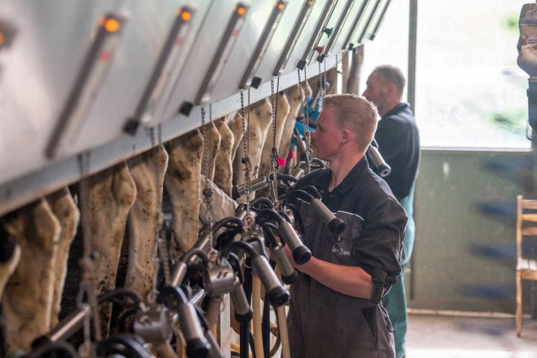 Over de eerste acht maanden van dit jaar loopt de melkaanvoer nog 0,6 procent achter op vorig jaar