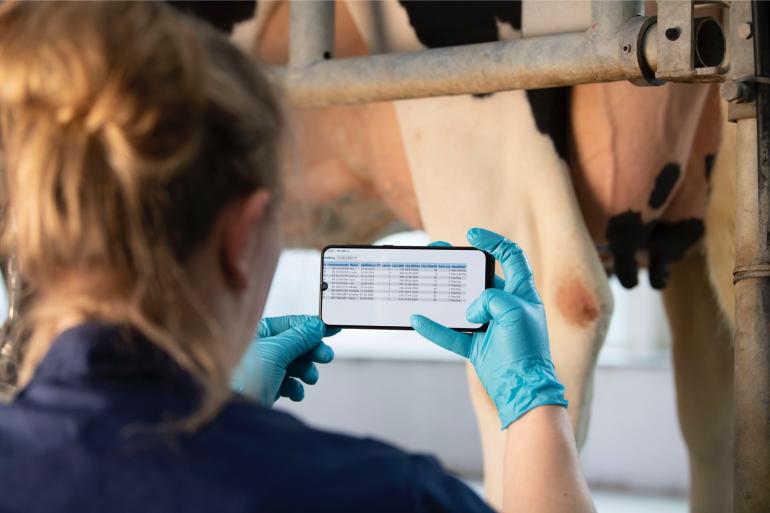 Door de nieuwe berekening van de NO kunnen ook de lactatiewaardes van koeien veranderen. Hiermee verandert ook de rangorde van dieren binnen het bedrijf
