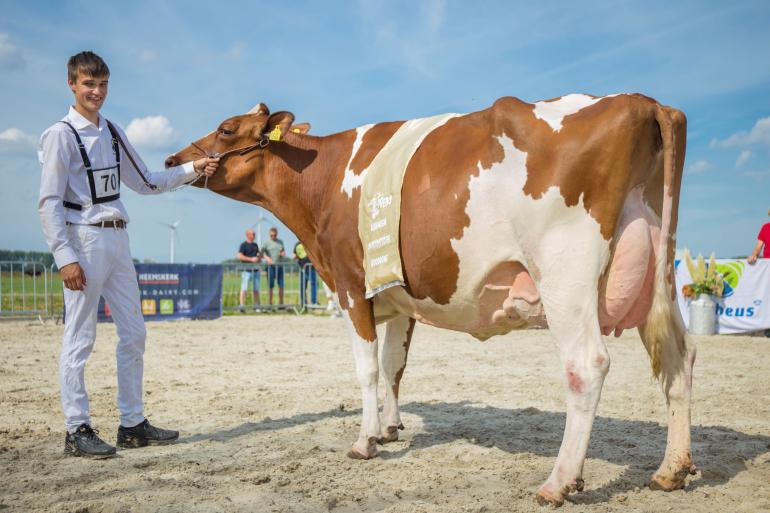 De dagzege bij roodbont was voor Mina 255 (v. Rager) van zuivelboerderij Van der Bas (foto: Koeienfoto’s.nl)