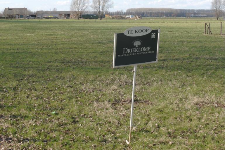 Grote percelen grasland die te koop staan zijn schaars