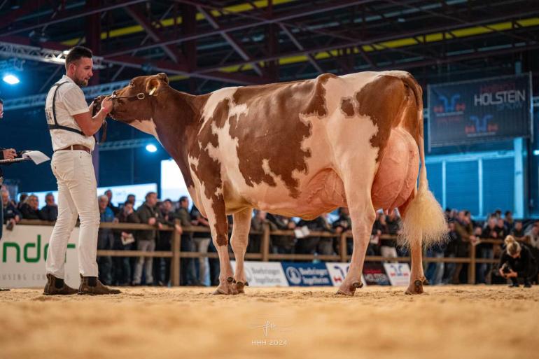 Vorig jaar won Jansje 703 (v. Jacot) van firma De Groot uit Everdingen de roodbonttitel