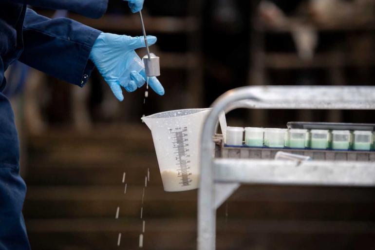 De levensproductie bij afvoer daalde voor het eerst sinds het mpr-jaar 2017-2018 weer, zij het miniem