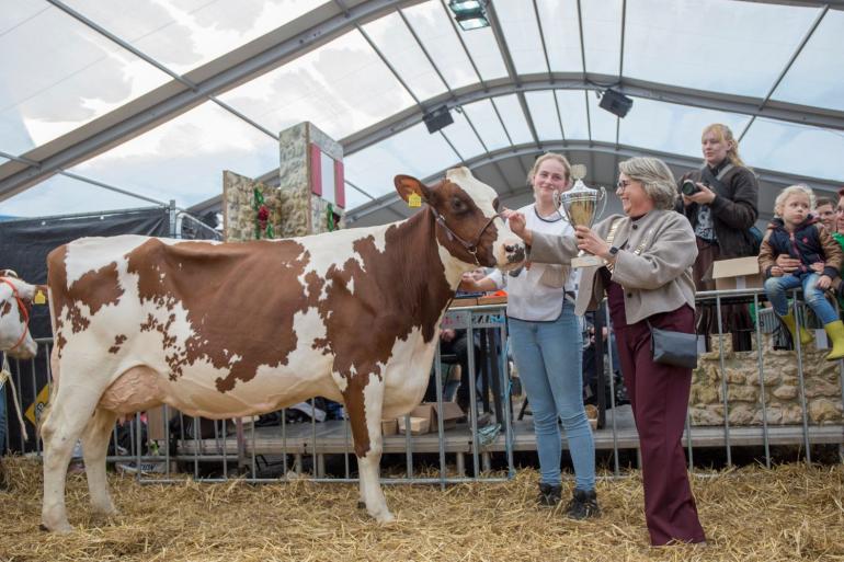 Carnivaldochter Anja 100 (v. Carnival) was de favoriet van de burgemeester (foto: Teus van Herk/Koeienfotos.nl)