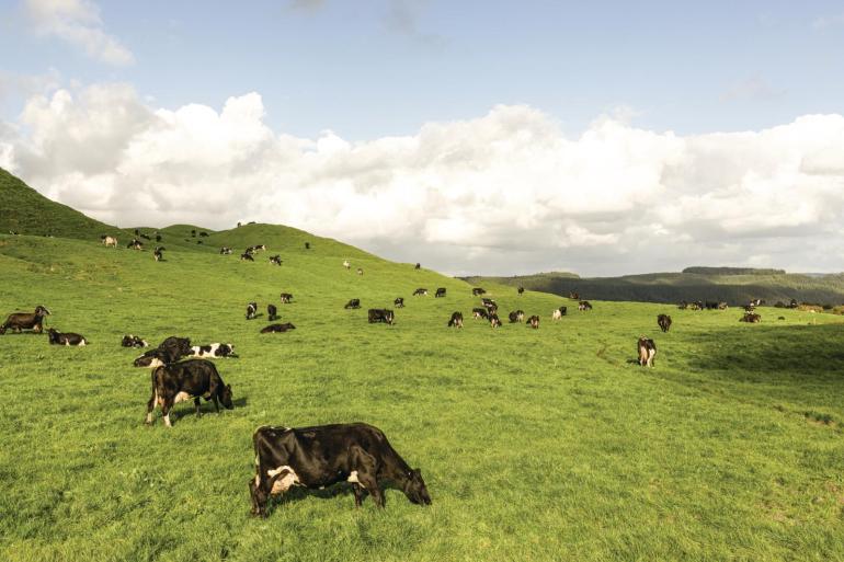 Het tussendoel voor 2030, een daling van 10 procent ten opzichte van 2017, blijft ongewijzigd