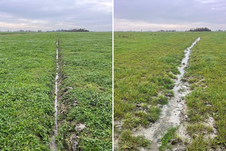 De linkergreppel voert het water vlot af, de rechter kan wel een opfrisbeurt met de greppelfrees gebruiken