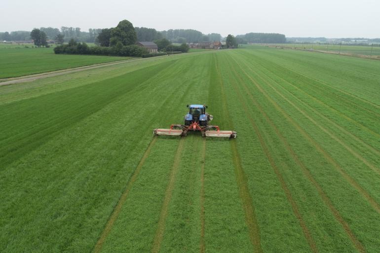 Door jonger maaien en droger inkuilen kunnen veehouders de methaanemissie verlagen met 13 procent en flink besparen op krachtvoerkosten