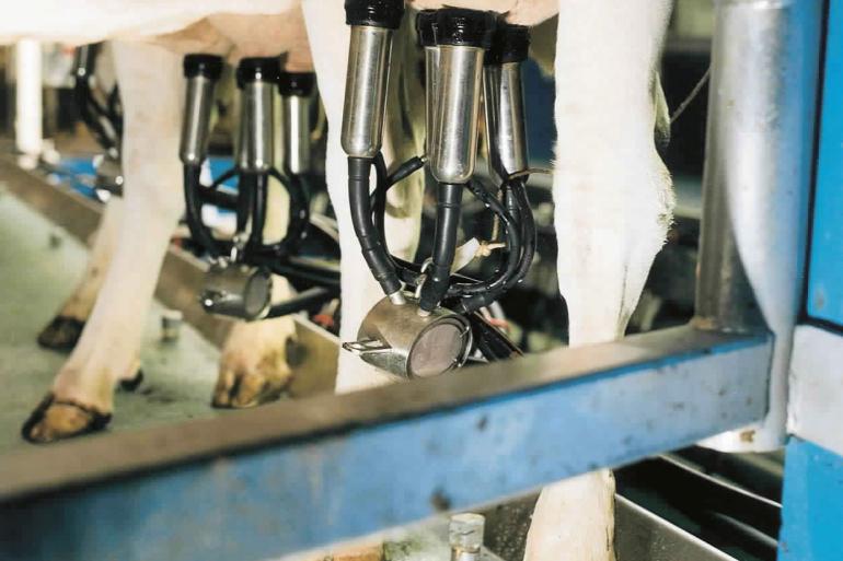 Het saldo in augustus was nog altijd 75 procent hoger dan het tienjarig gemiddelde voor de laatste zomermaand