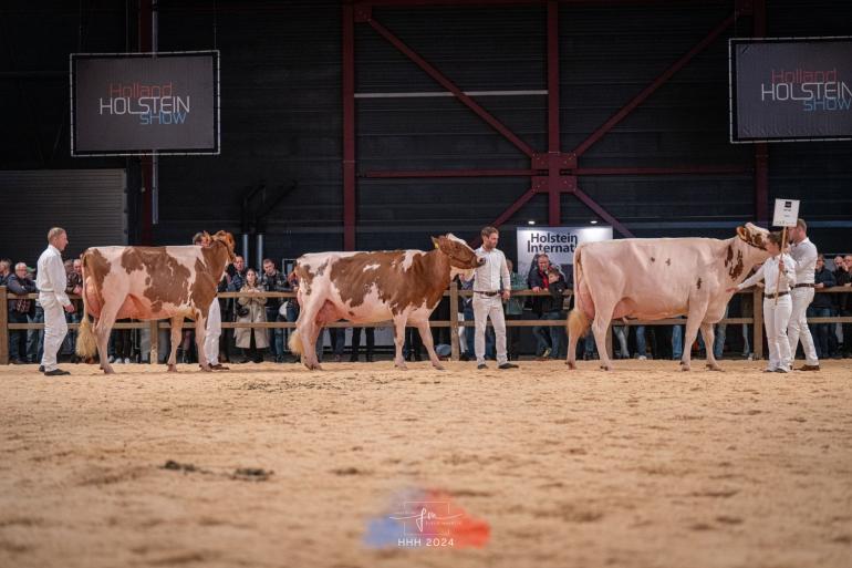 Voor de derde keer op rij won de familie Pinkert in 2024 de bedrijfsgroepencompetitie op de HHH-show (foto: Fleur Maartje Bakker)