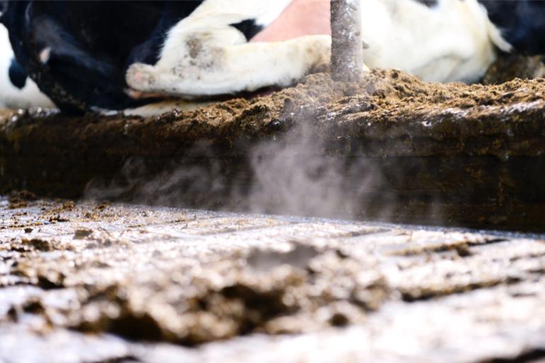 De biomassa kan ook gebruikt worden voor de productie van biobased materialen, zoals biologisch afbreekbare kunststoffen 