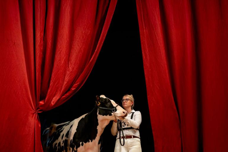 Een voor een komen de Young Breeders binnen door het rode doek