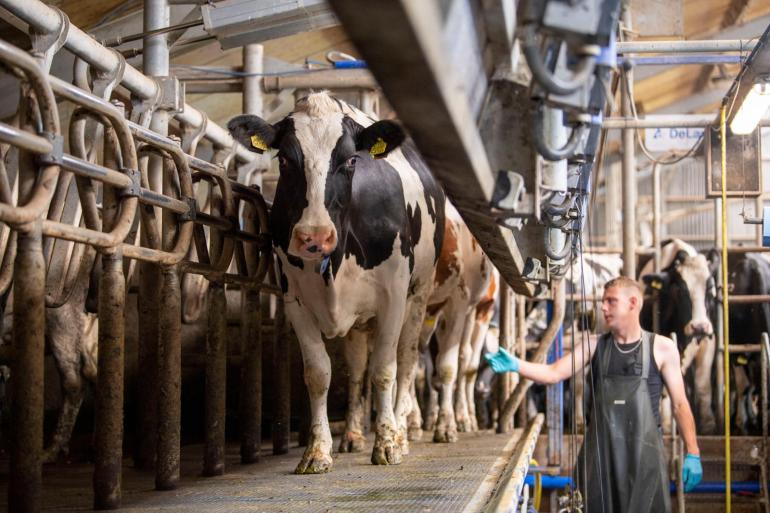 Ondanks de kelderende melkprijs is het jaargemiddelde nog weinig veranderd
