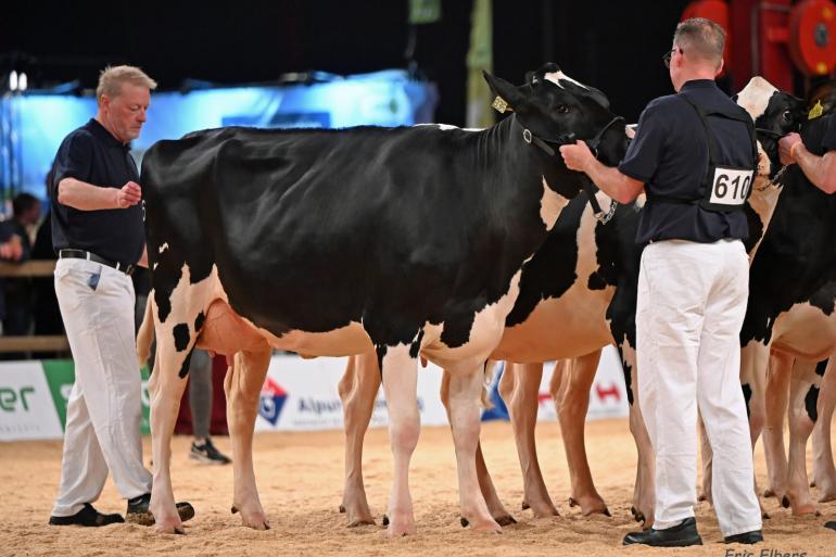 In totaal vier dochtergroepen maakten hun opwachting in de ring tijdens de HHH-show (foto: Eric Elbers)