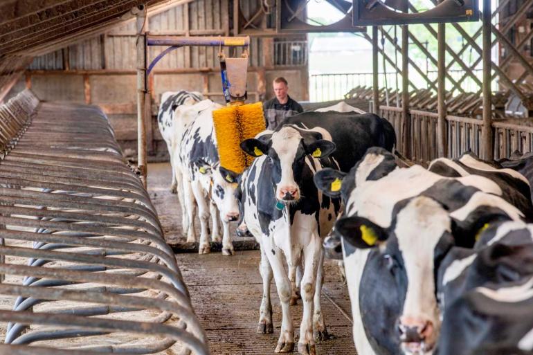 De positieve stemming is te danken aan de relatief hoge melkprijs en de iets dalende rente