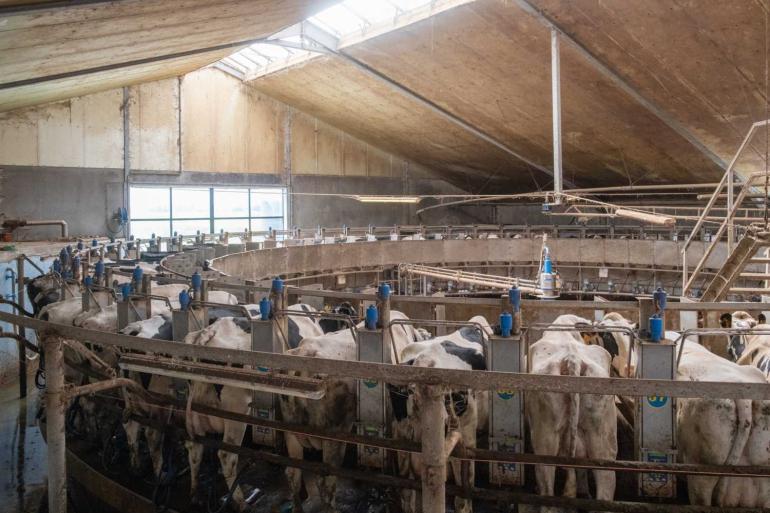 De Europese melkprijs lag in oktober ruim twee euro lager dan in oktober vorig jaar