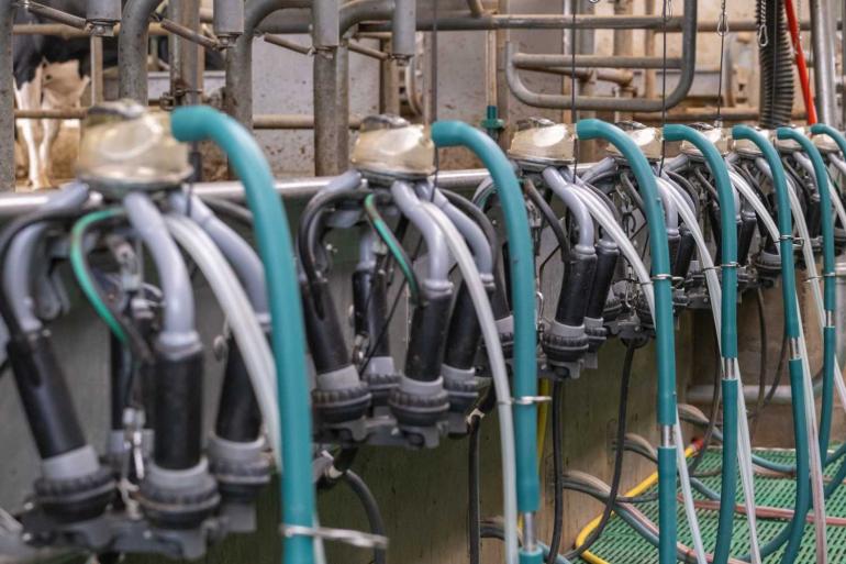 Vooral in België (+6%), Duitsland (+5%), Frankrijk (+5%) en Polen (+5%) leverden melkveehouders flink meer melk aan