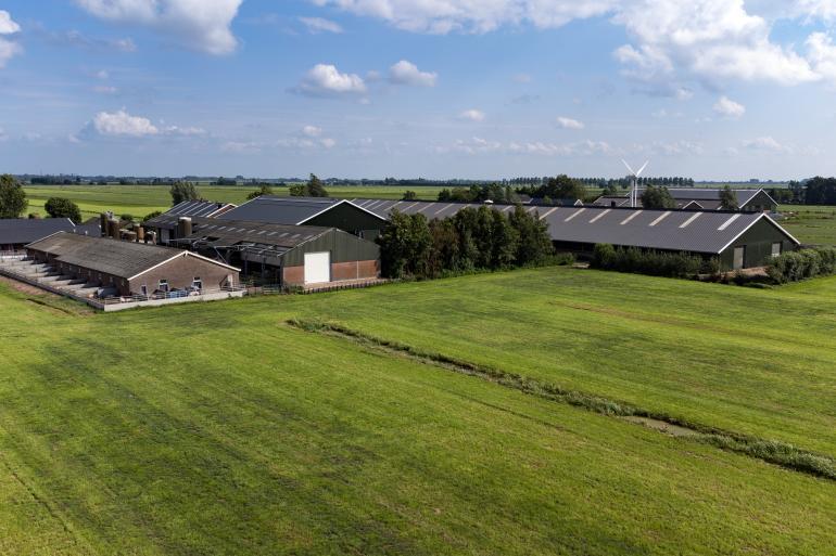 agrarisch landschap.jpg