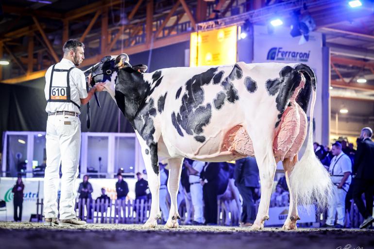 Fantasy Darsena (v. Dateline) wint in het Italiaanse Cremona (foto: Guillaume Moy)