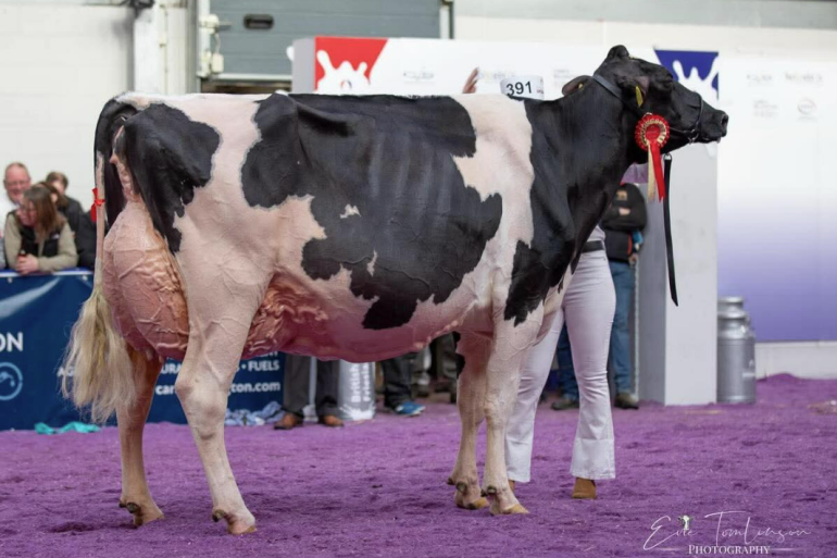 Evening Sidekick Jennifer tijdens haar optreden op AgriScot