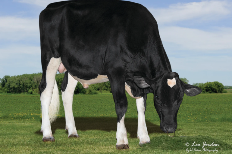 Siemers RZ Pazzle debuteert met +15 voor exterieur