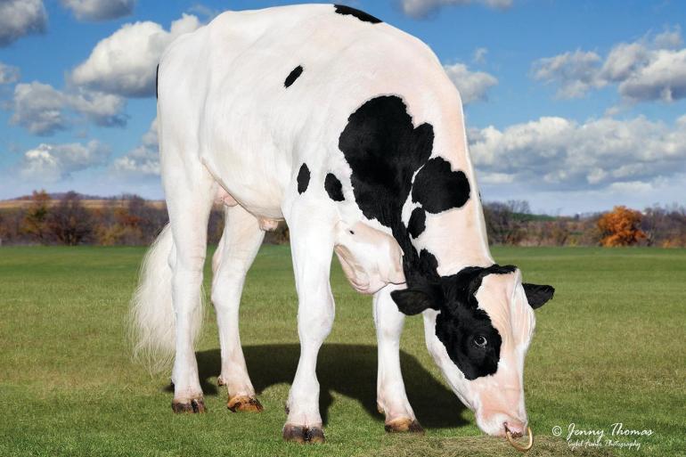 OCD Trooper Sheepster leidt de TPI-lijst met 3464 punten