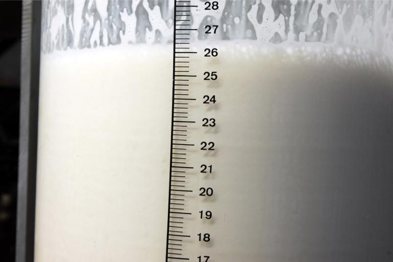 Aaff-klanten die tussen de 9.000 en 10.000 kg melk per koe produceerden hadden vorig jaar de hoogste liquiditeitsmarge met ongeveer 12 euro per 100 kg melk